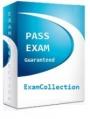 Examcollectionvce Online Study