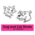 Dog and Cat Shots by YolanoVet