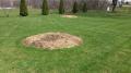 Central Florida Stump Grinding