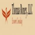 Thomas Roney LLC, Economic Consulting