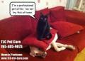 TLC Pet Care