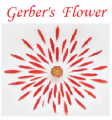 Gerber's Flower