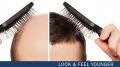 Gelman Hair Restoration