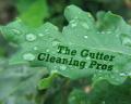 Indianapolis Gutter Cleaning