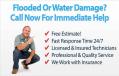 Water Damage Specialists