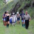 Ottaba Llama Walks