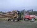 Firewood and Land Clearing Alaska