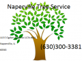 Naperville Tree Service