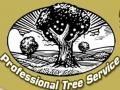 Professional Tree Service