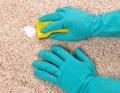 Lindenhurst Carpet Cleaning Company