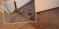 Carpet Repair Mesa is a dba of Phoenix dcarpetrepair & cleaning