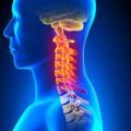 Chiropractor In Newport Beach