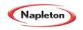 Napleton Nissan