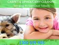 Carpet Cleaning Gold Coast