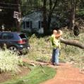 East Greenwich Tree Service Inc.