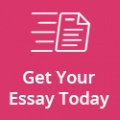 My Essay Today
