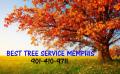 Best Tree Service Memphis