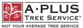 A Plus Tree Service