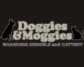 Doggies and Moggies