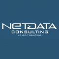 NetData Consulting