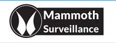 Mammoth Security Inc. West Hartford