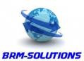 brm-solutions - Allen B Barkocy Owner