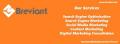 Breviant Marketing Services Pvt Ltd