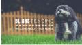 Blicks Fencing