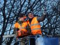 Tree Services Hamilton