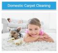 Carpet Cleaning Brisbane Northside