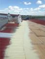 ECO Commercial Roofing