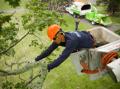 Ann Arbor Tree Service Pros