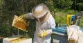 Oxford Honey And Supplies