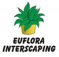 Euflora Touch of Green