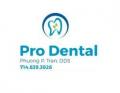 Pro Dental