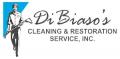 Dibiaso's Cleaning and Restoration Services