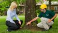 Alvie's Tree Stump Grinding