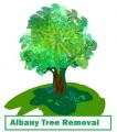 Albany Tree Removal