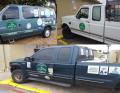 BW Insect Control and Tree Care