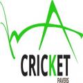 Cricket Pavers