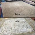 Green Island Carpet Care