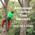 Anchorage Trusted Tree Services