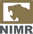 NIMR Automotive