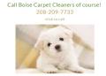 Boise's Carpet Cleaners