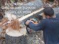 Conyers Tree Services