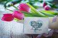 Elite Livein Care Limited