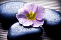 SAMA: Sacred Stone Academy of Massage & Ayurveda
