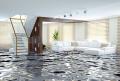 Broward Water Damage Pros