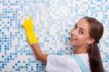 House Cleaning Services of Ann Arbor