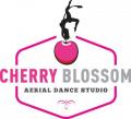 Cherry Blossom Pole Dancing Studio